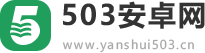 503安卓网